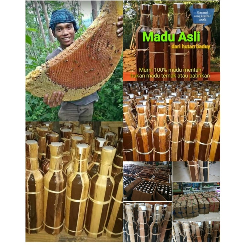 

Madu Odeng Asli Hutan Suku Baduy