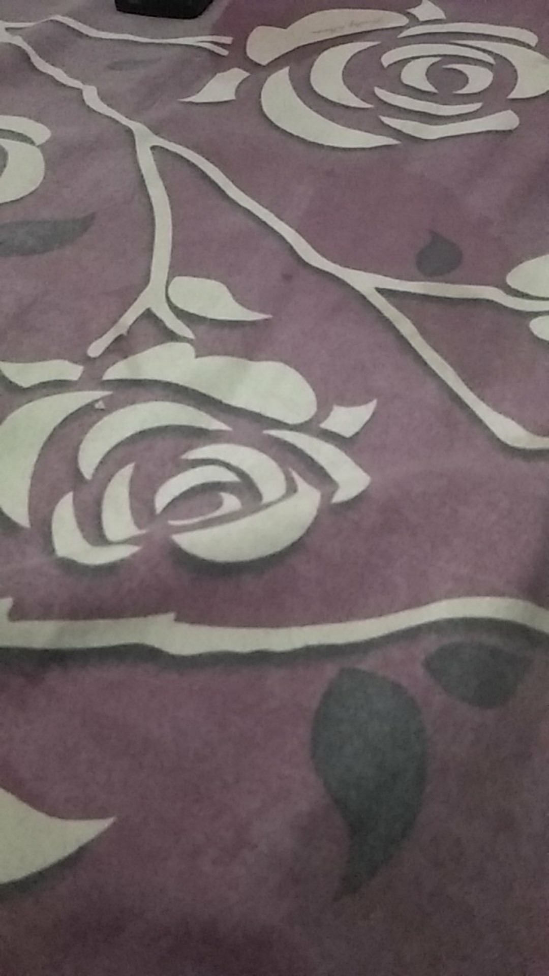 Ecov Penutup Kuping Semir Rambut