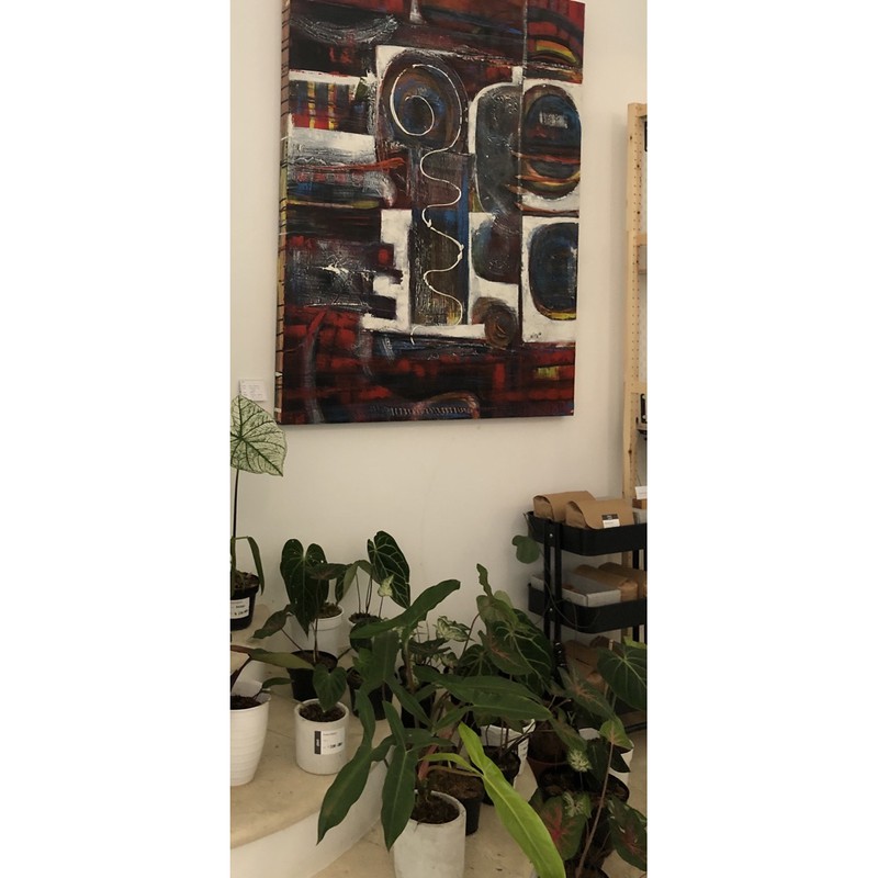 nobrandplant metan plus serum