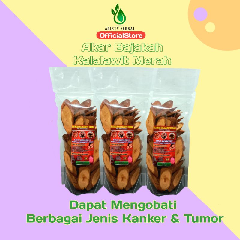 

Akar Bajakah Kalalawit Merah Kalimantan Asli