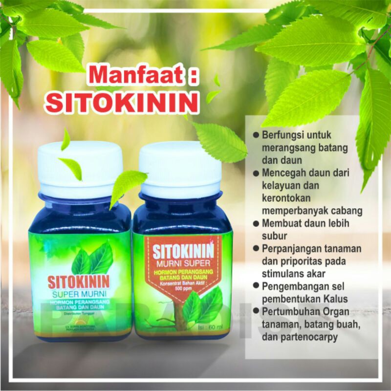 Pupuk Tanaman Sitokinin Murni Hormon Perangsang Batang Dan Daun  sitokinin hijau