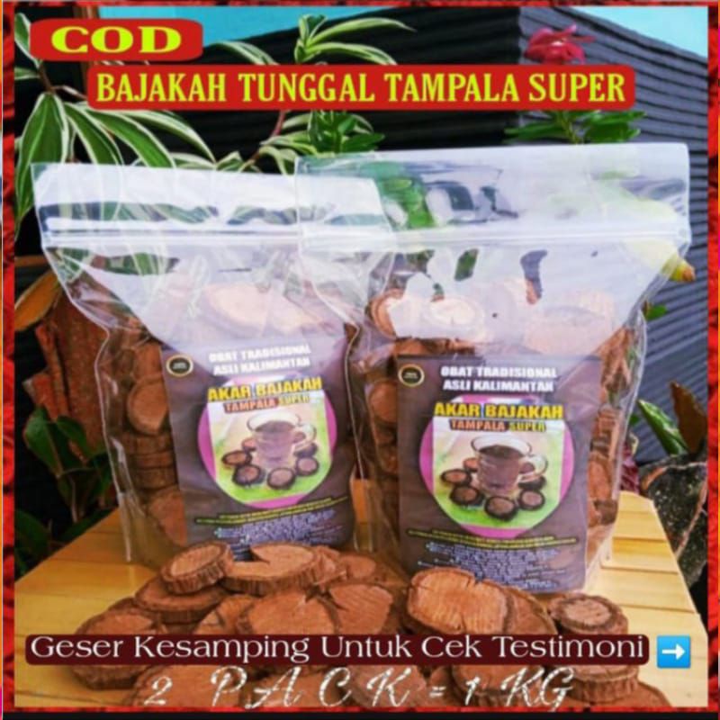 COD 1 KG KAYU BAJAKAH TUNGGAL TAMPALA SUPER ASLI OBAT KANKER TUMOR BENJOLAN DAN DAGIN TUMBUH