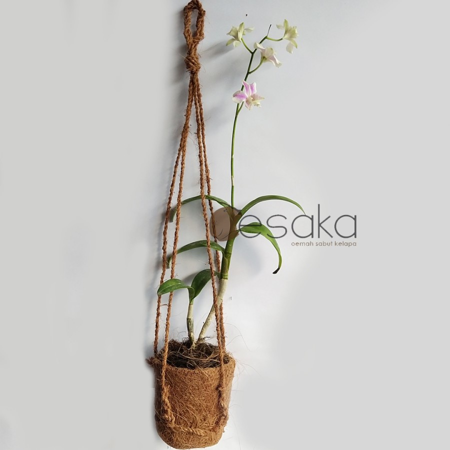 pot anggrek pot gantung cocofiber sabut kelapa alami penyubur tanaman cocopot gantung pengganti poly