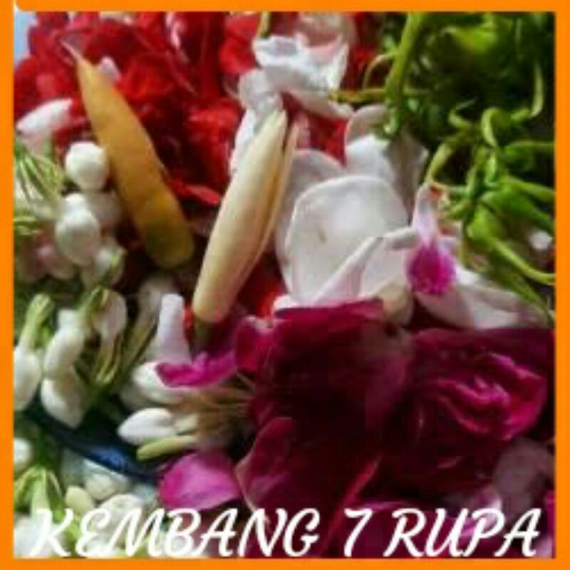 KEMBANG 7 RUPA BUNGA SEGAR MURAH