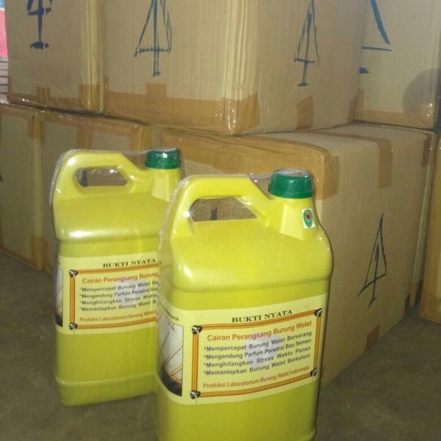 Parfum walet merk “ bukti nyata “ kemasan isi 5 liter / parfum walet / parfum BN / parfum walet BN /