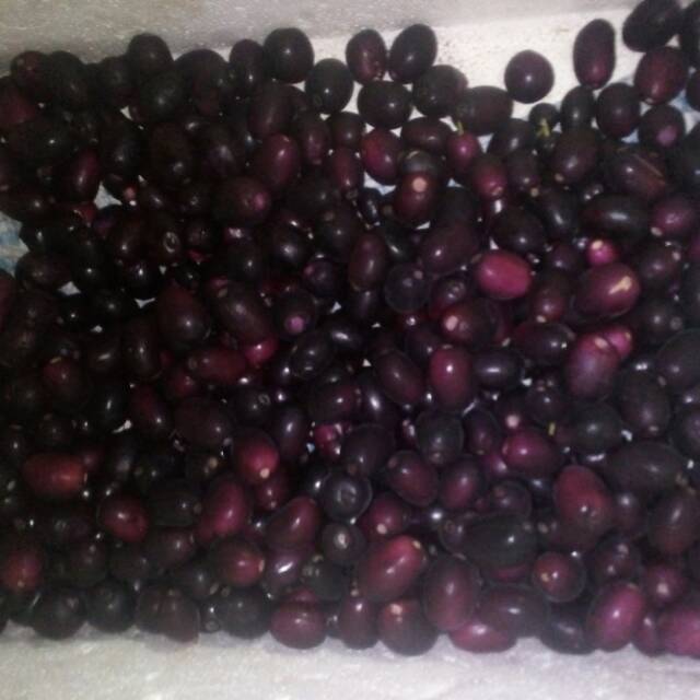 

Jamblang