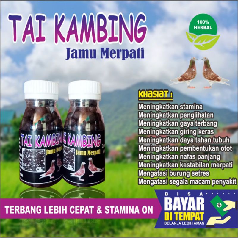 

JAMU MERPATI TAIKAMBING ISI 120 BUTIR DOPING MERPATI PIL EDAN VETAFRAM TERBUKTI PROMOO