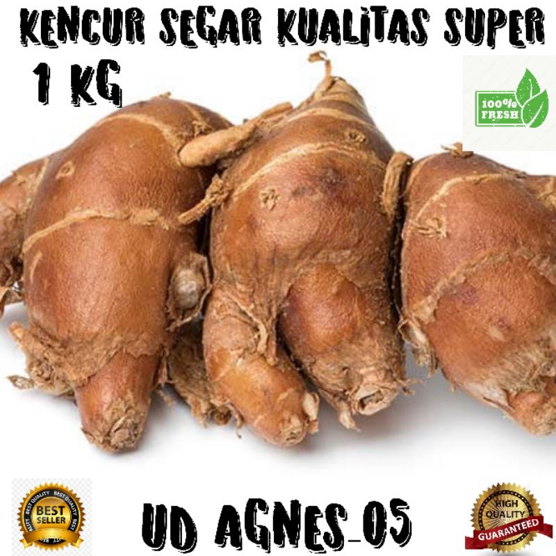 

Kencur FRESH kualitas Super 1 kg