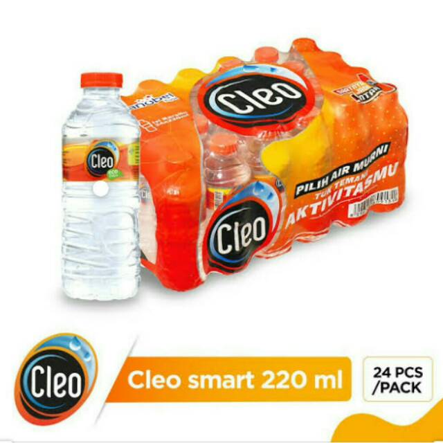 

Cleo smart Air mineral (220 ml/24 pcs)