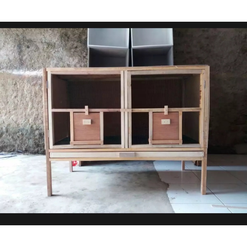 kandang merpati 2 pintu