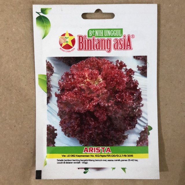 Benih Selada Merah