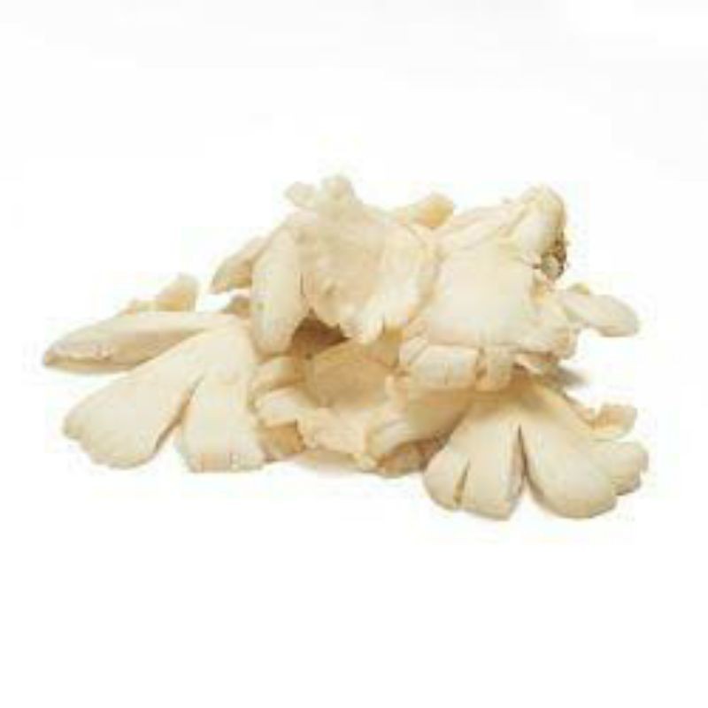

SRUNI Jamur Tiram 100 Gram
