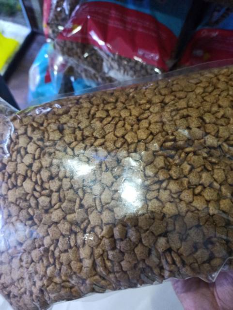 Makanan kucing Stary 1 kg bsa untuk cemilan hamster ( tidak direkomendasikan)