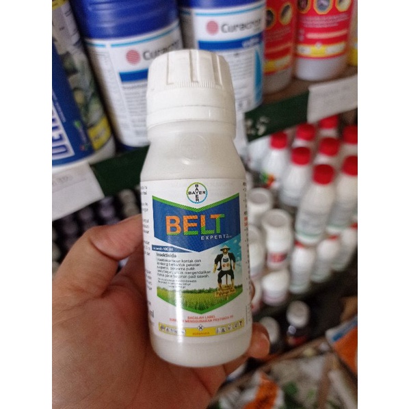 BELT expert 480sc 100ML