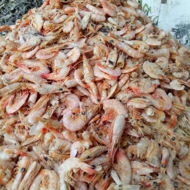 

Udang merah