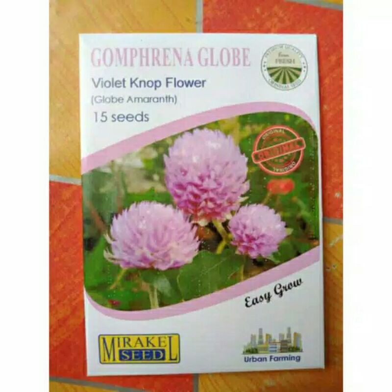 

gomphrena globe isi 15 biji
