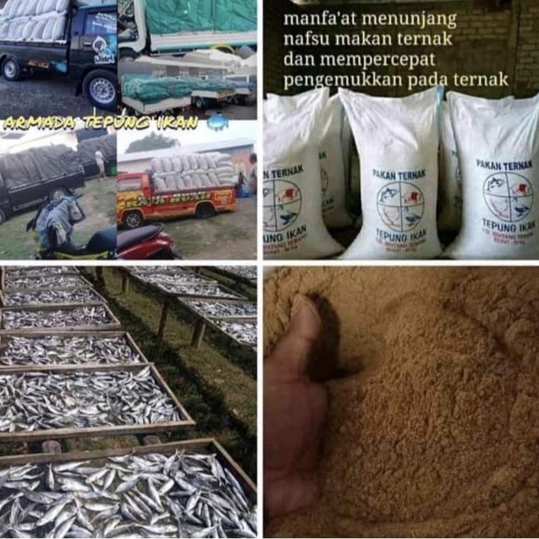 

D Tepung Ikan Murni 1 kg Asli Original / tepung ikan pakan ternak / tepung ikan protein 65 persen /