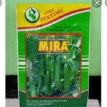 BENIH | BIBIT TIMUN ( MIRA) HIBRIDA F1 25gr