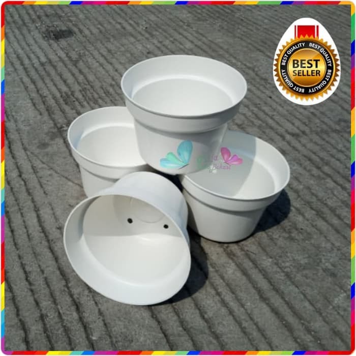 Pot Bunga 15 Cm Putih Bulat Pot Tanaman 15cm Putih Cantik | Bukan Pot 15 Hitam