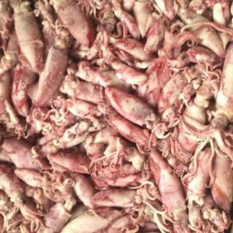 

SUPER PROMO!!! Cumi Baby 100gram | naga_exspress