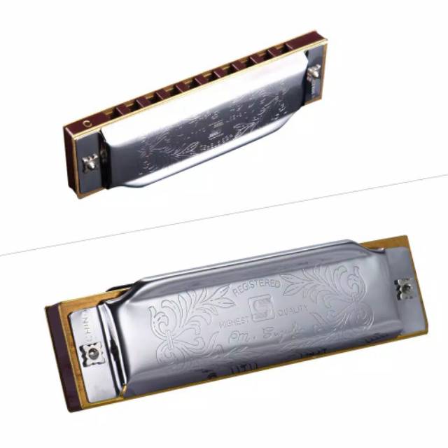 Harmonika Harmonica Suzuki Folk Master 10 Hole