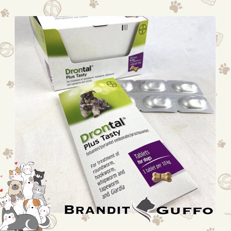 drontal plus tasty dog obat cacing anjing per 1 tablet