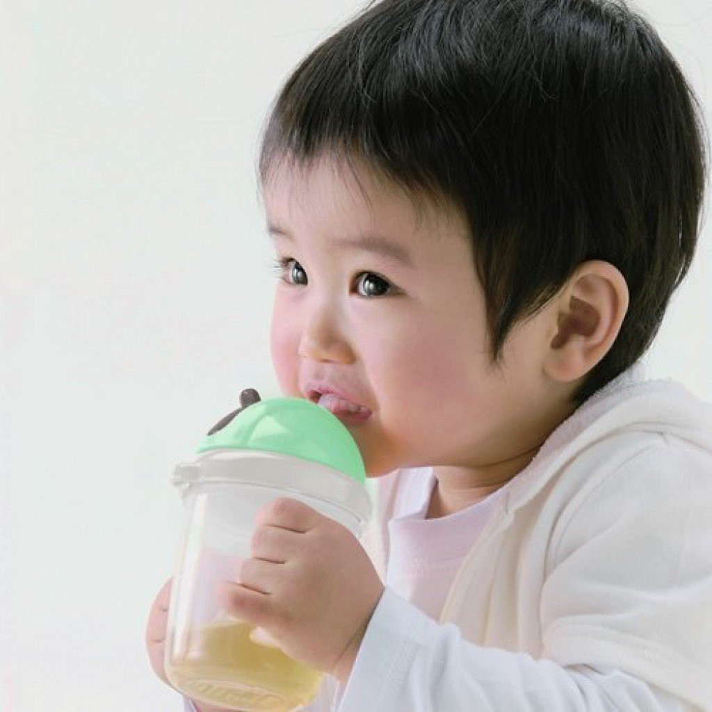 Richell Mugtre Straw Mug - 98591 Botol Minum Anak