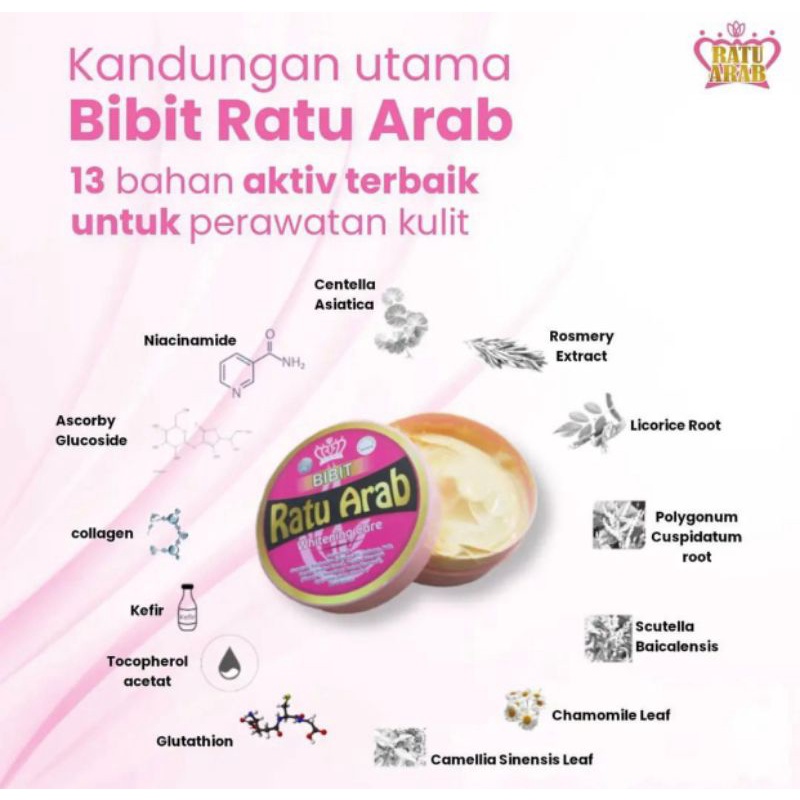 bibit ratu arab