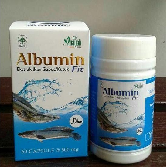 New Ciplukan / Kapsul Daun Ciplukan