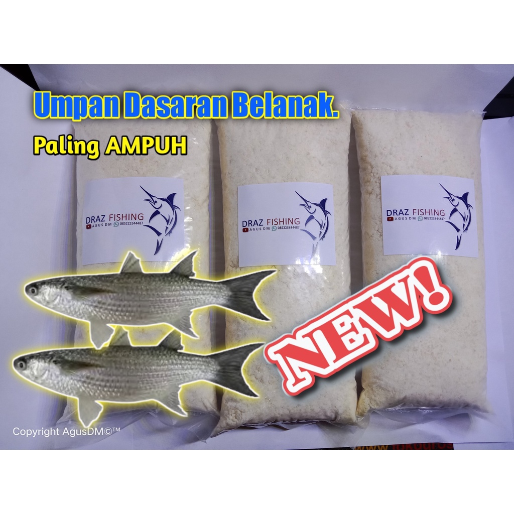 UMPAN IKAN BELANAK PALING AMPUH