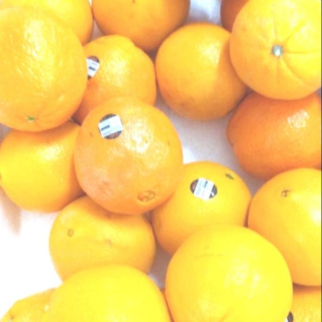 

jeruk sunkist navel
