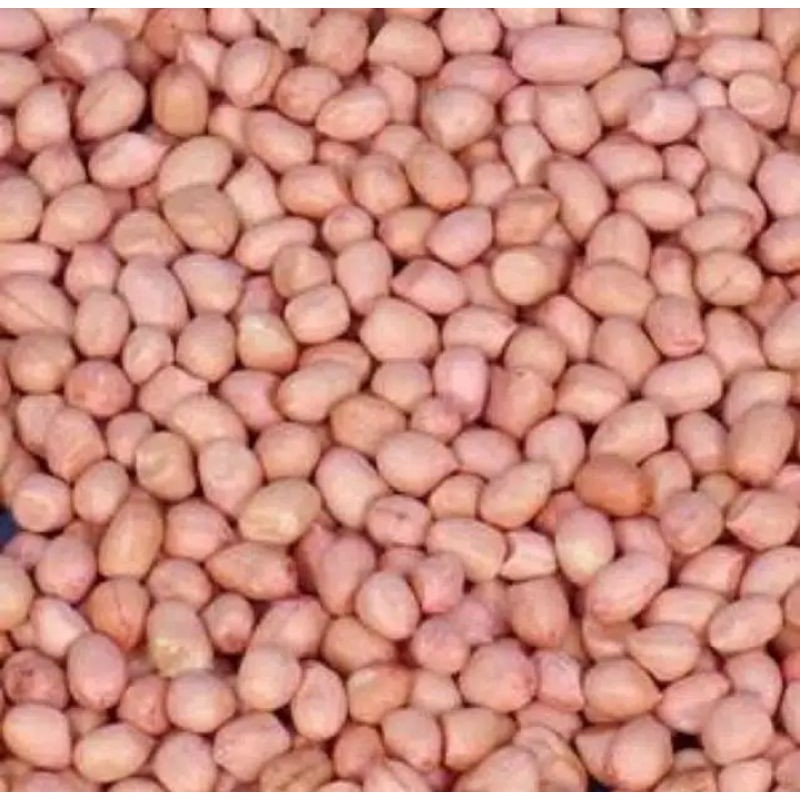 

KACANG TANAH 1kl, 1000gr