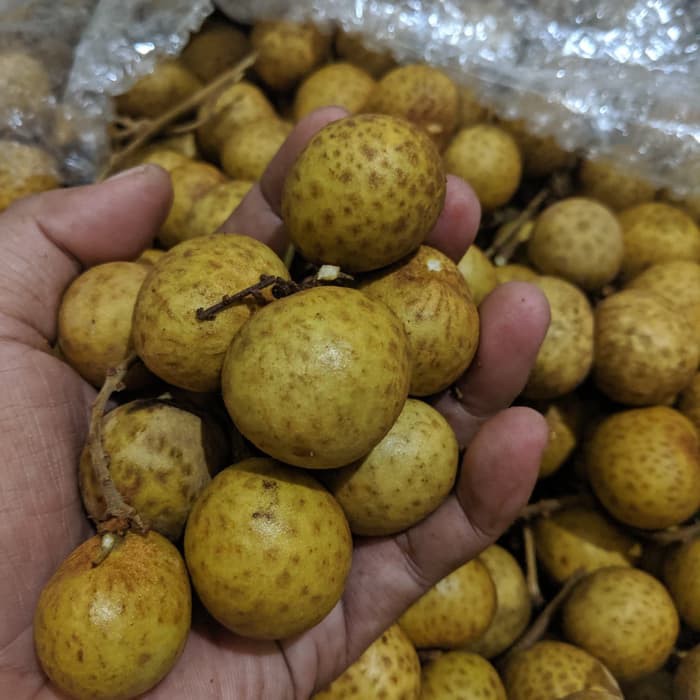 

500gram Buah Kelengkeng