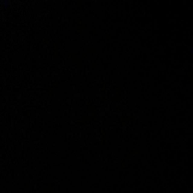 Laci Mini Container Shinpo 366 C4 Susun 4 / Serbaguna