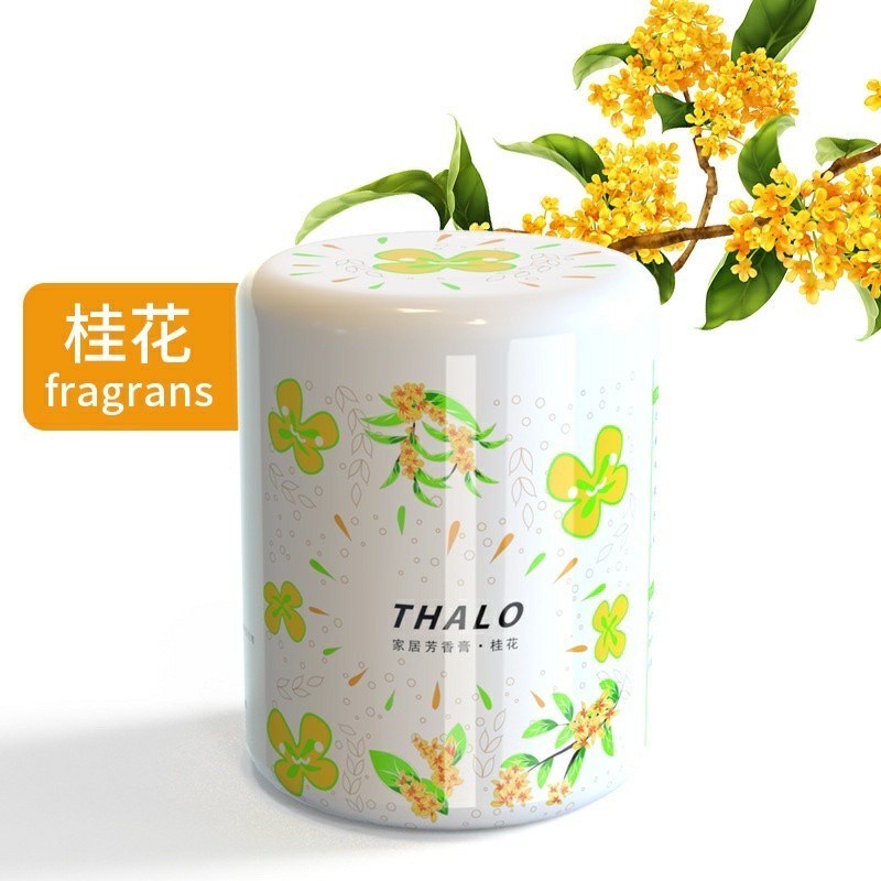 Gel Pengharum Ruangan Aroma Segar Alami Desain Menarik Untuk Dekorasi / PENGHARUM RUANGAN AROMA BUAH