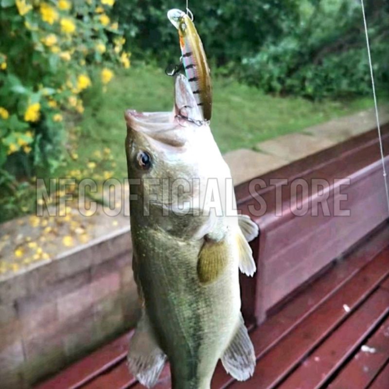 Lure Minnow Slow Sinking 5,5cm / 4,5gram Megabass Great Hunting Replika Action &amp; warna KILLER