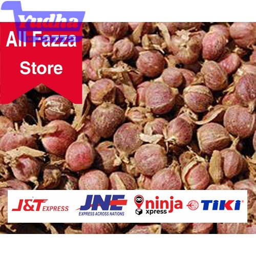 

KAPOLAGA KAPULAGA KAPOL BASAH BERSIH 500gram TERBAIK AL FAZZA STORE