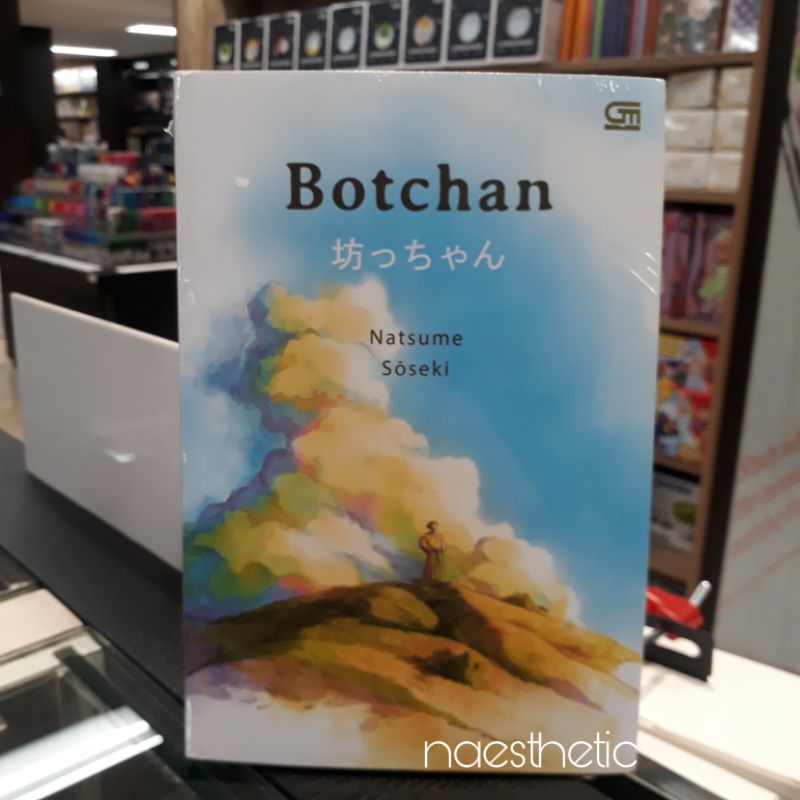 novel botchan