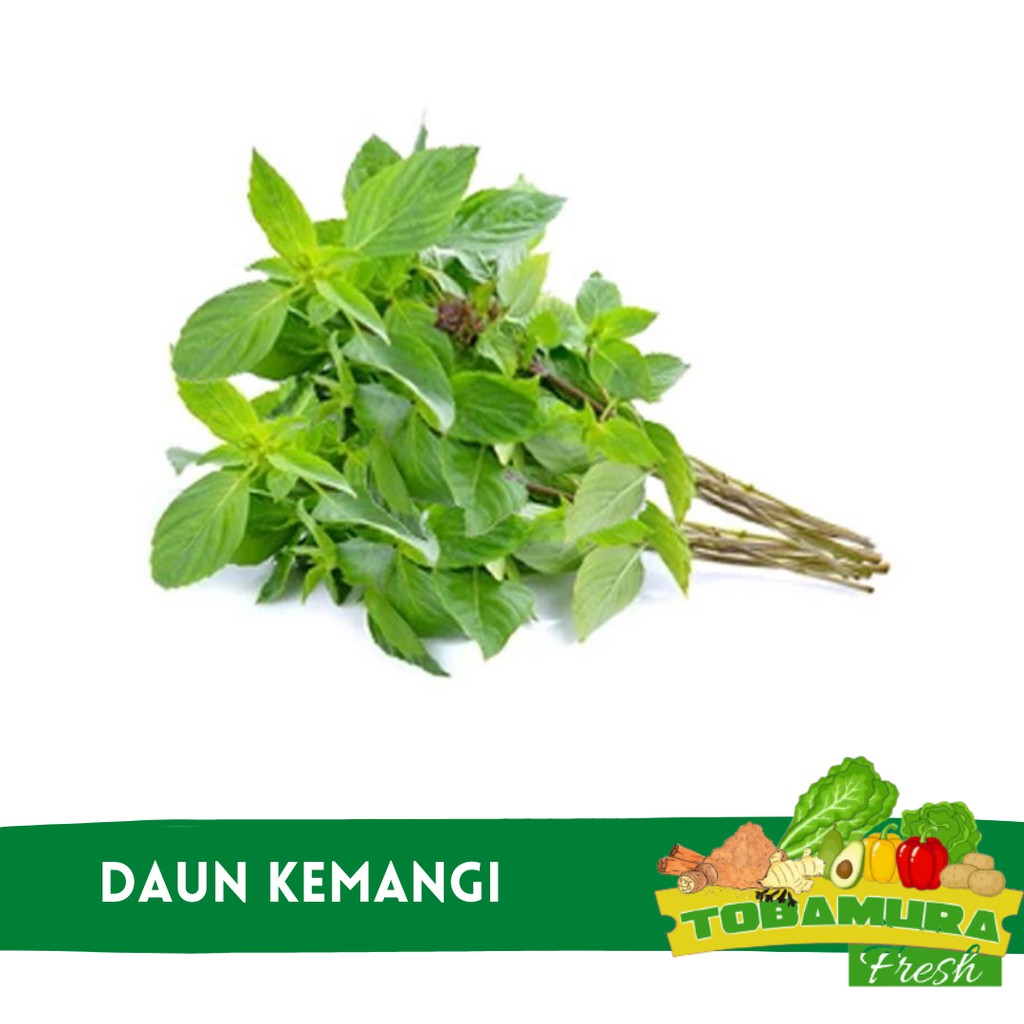 

Daun Kemangi 100 gr (Tobamura Fresh)