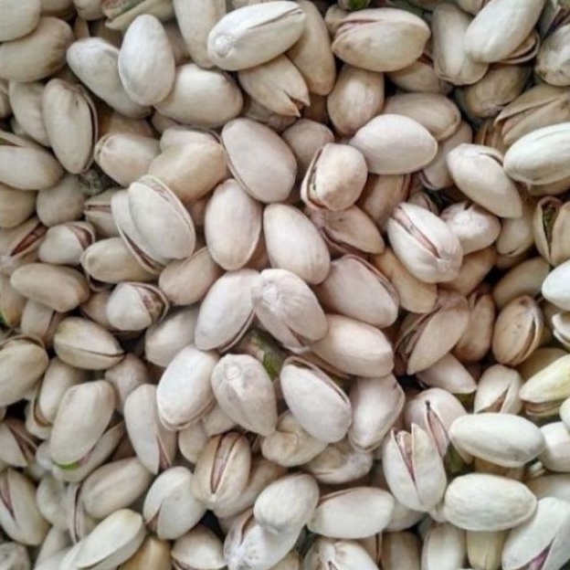 

kacang fustuk 1kg