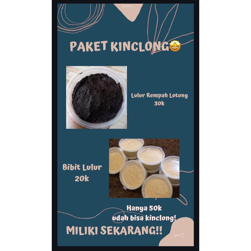 LULUR REMPAH LOTONG & BIBIT LULUR