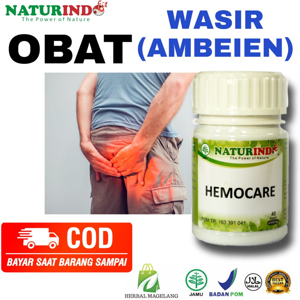 Obat Herbal Wasir Daun Ungu Ambeien Obat Ambeyen Paling Ampuh Obat BAB Berdarah Ambien Hemoroid-6