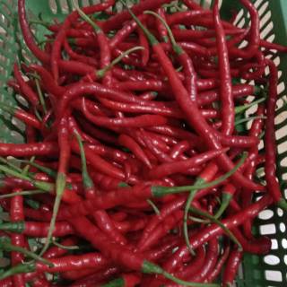 

cabai keriting merah sayuran bandung