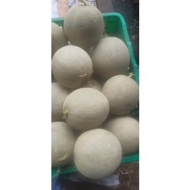 

Melon Emerald