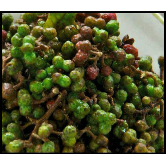 

Mas.Lynda - Andaliman Murah 500 Gr/Bumbu Khas Batak/Rempah-Rempah/Oleh-Oleh Medan