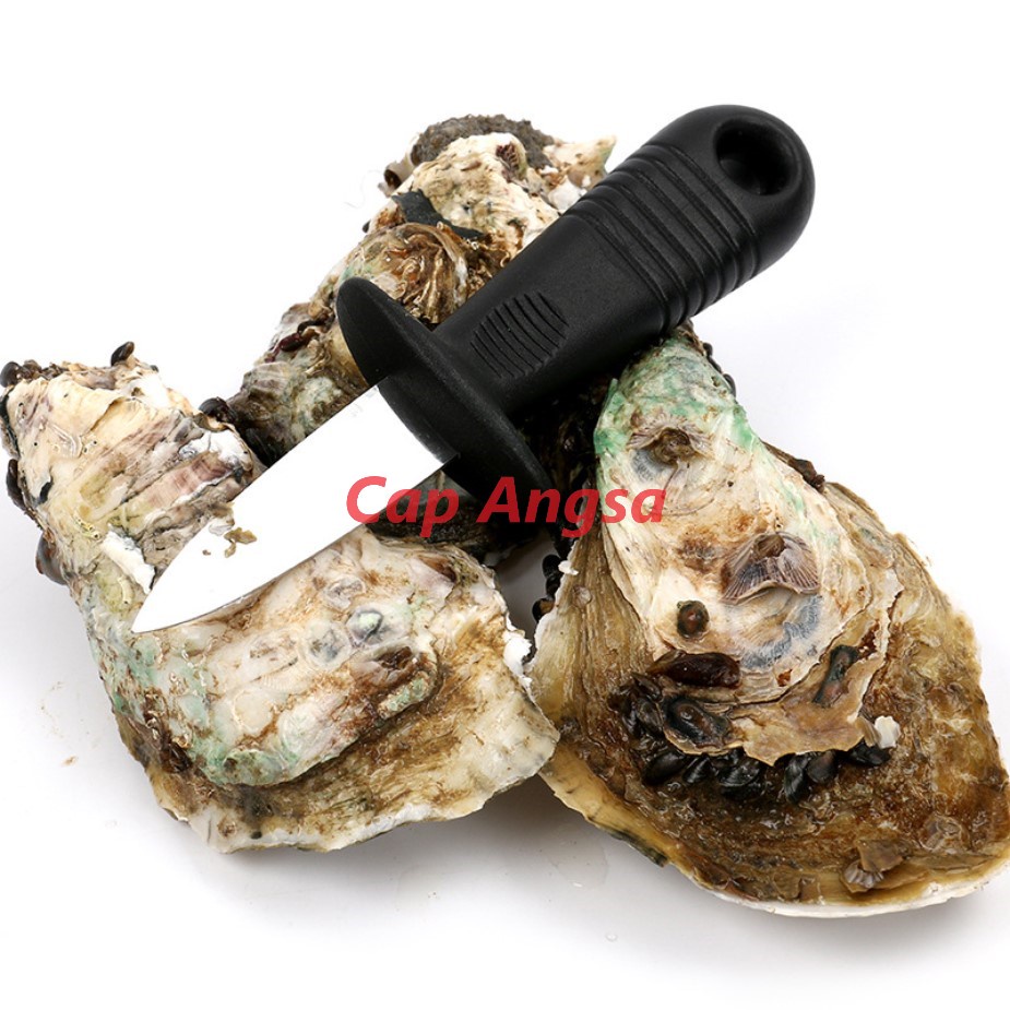 Oyster Knife Pisau Pembuka Tiram Kerang Shell Fish Cungkil Cangkang Congkel Shuck Knife