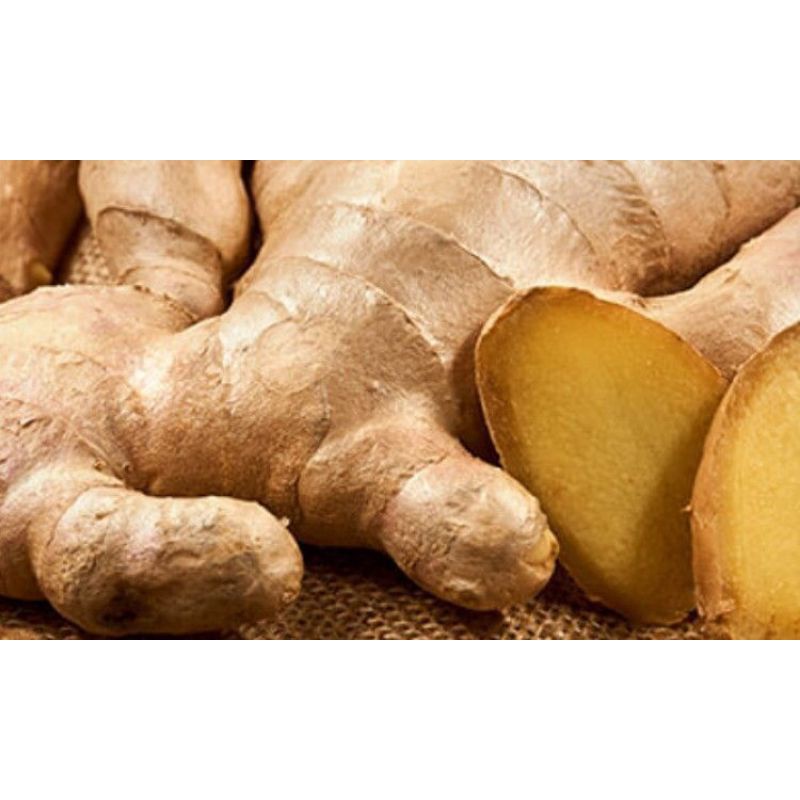 

MURAHHH !!! 1 KG JAHE SUPER ALAMI