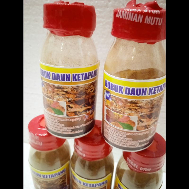 BUBUK DAUN KETAPANG