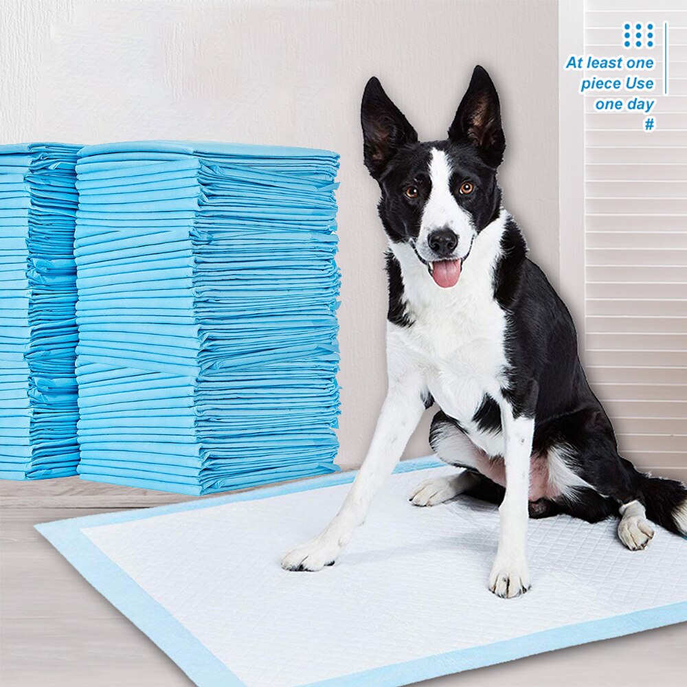 Couches Pour Chiens Couche Pour Animaux De Compagnie Chien Formation Pipi Tampons Jetable Sain Nappy Mat Pour Chien Chats Animaux Nettoyage Deodorant Couche Shopee Indonesia