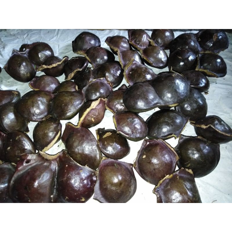 

JENGKOL